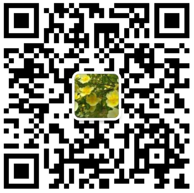 联系二维码
